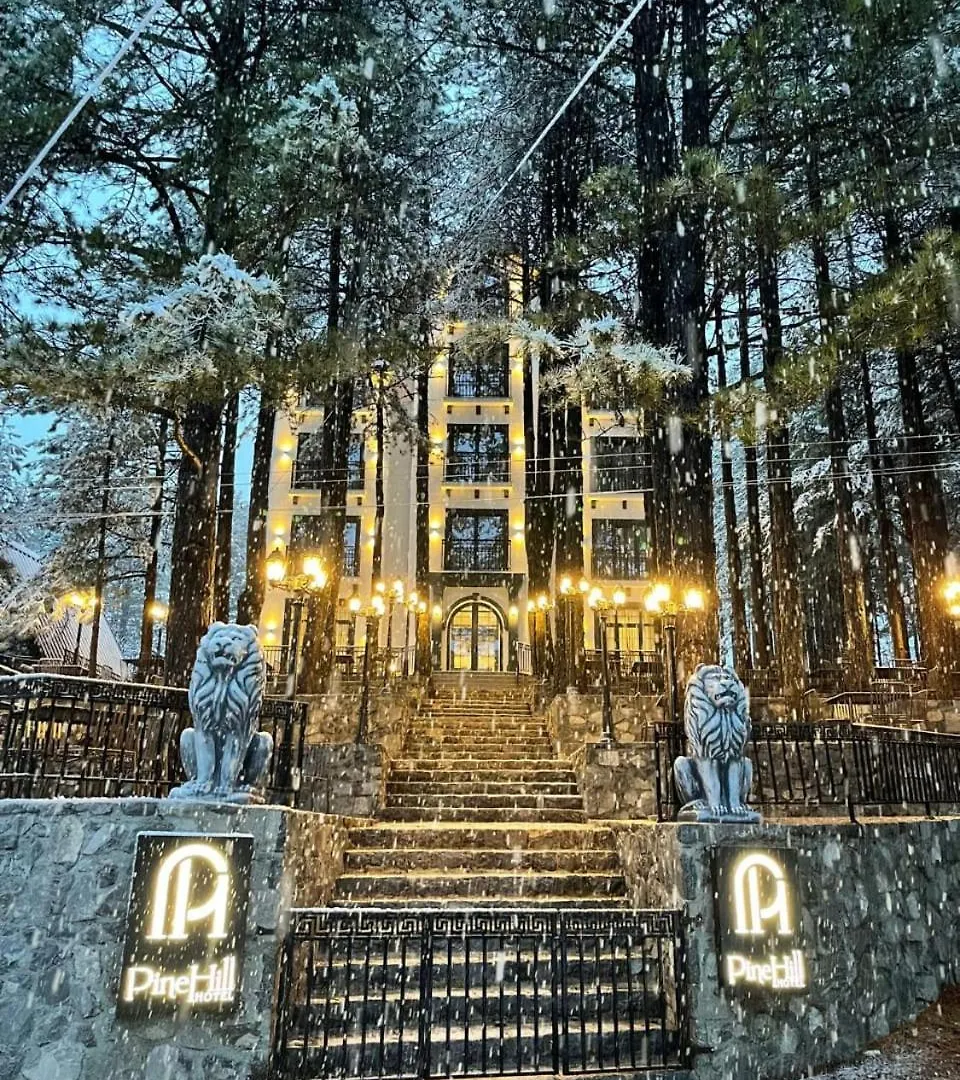 Pinehill Hotel, Restaurant , Pool & Spa - Razëm